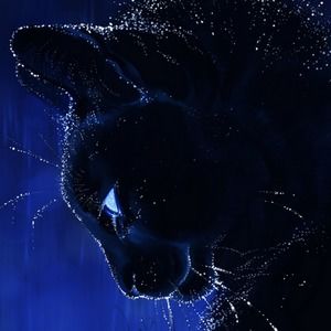 Meet your Posher, Joanna